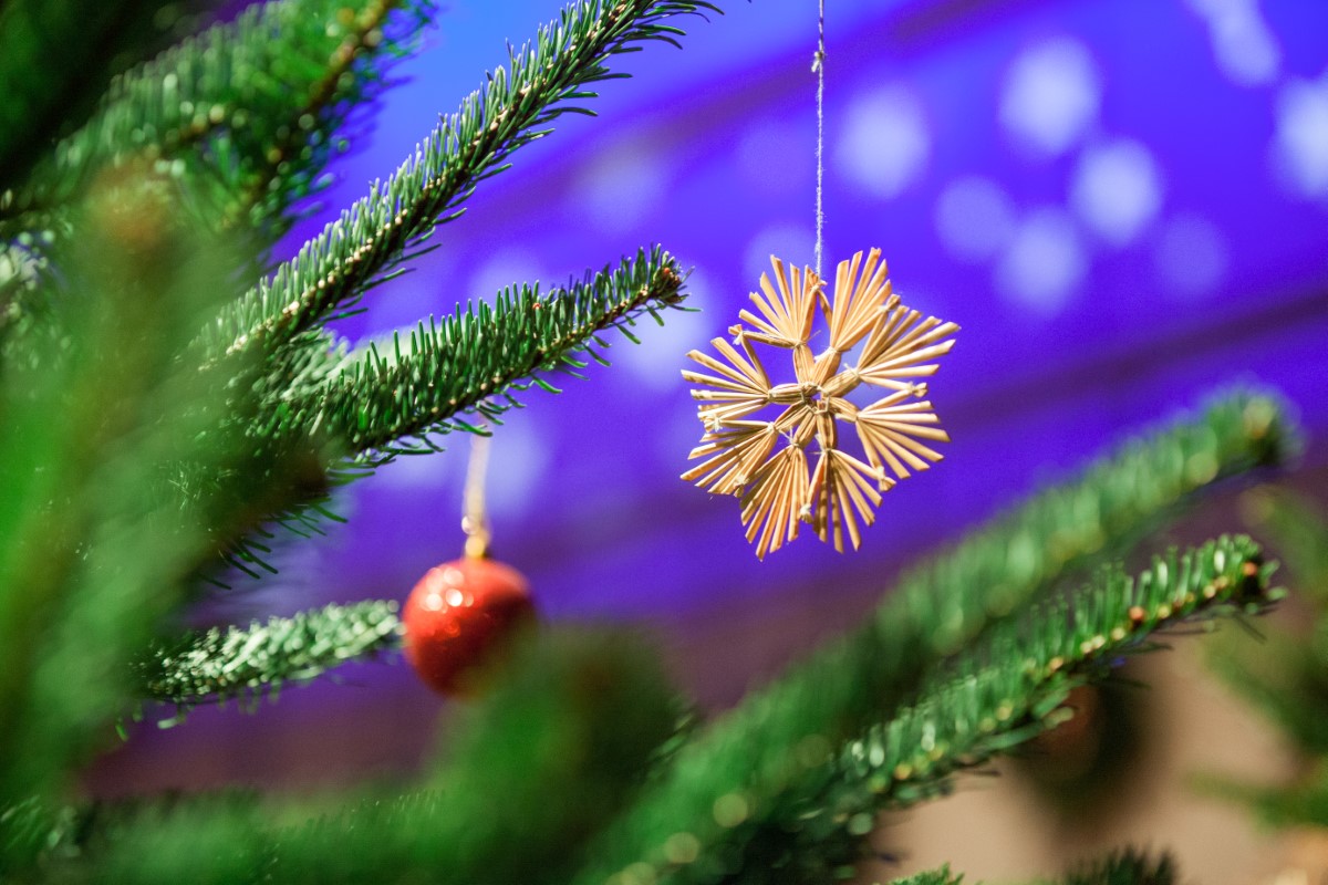 Advent - Tannenzweig mit Strohstern