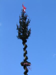 Maibaum