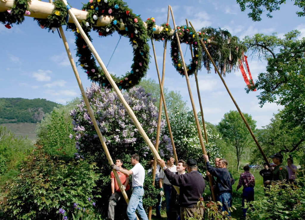 Maibaumaufstellen