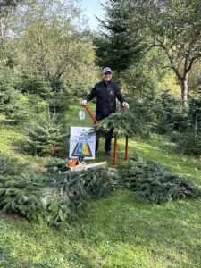Christbaum-Bauer Johann Steinmetz in seinem Christbaumwald in Maria Laach am Jauerling