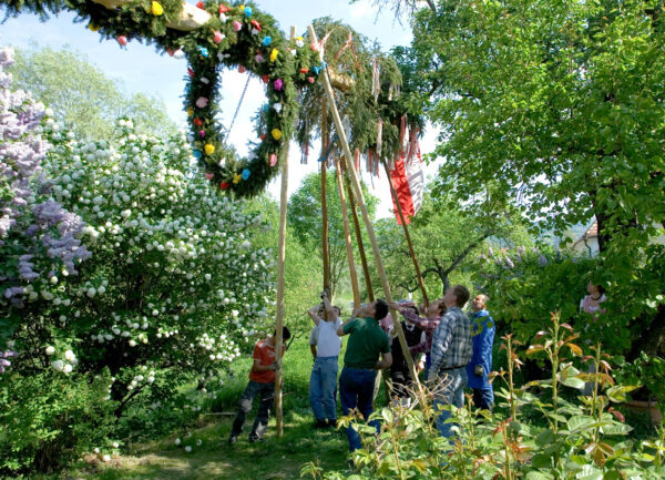Maibaumaufstellen