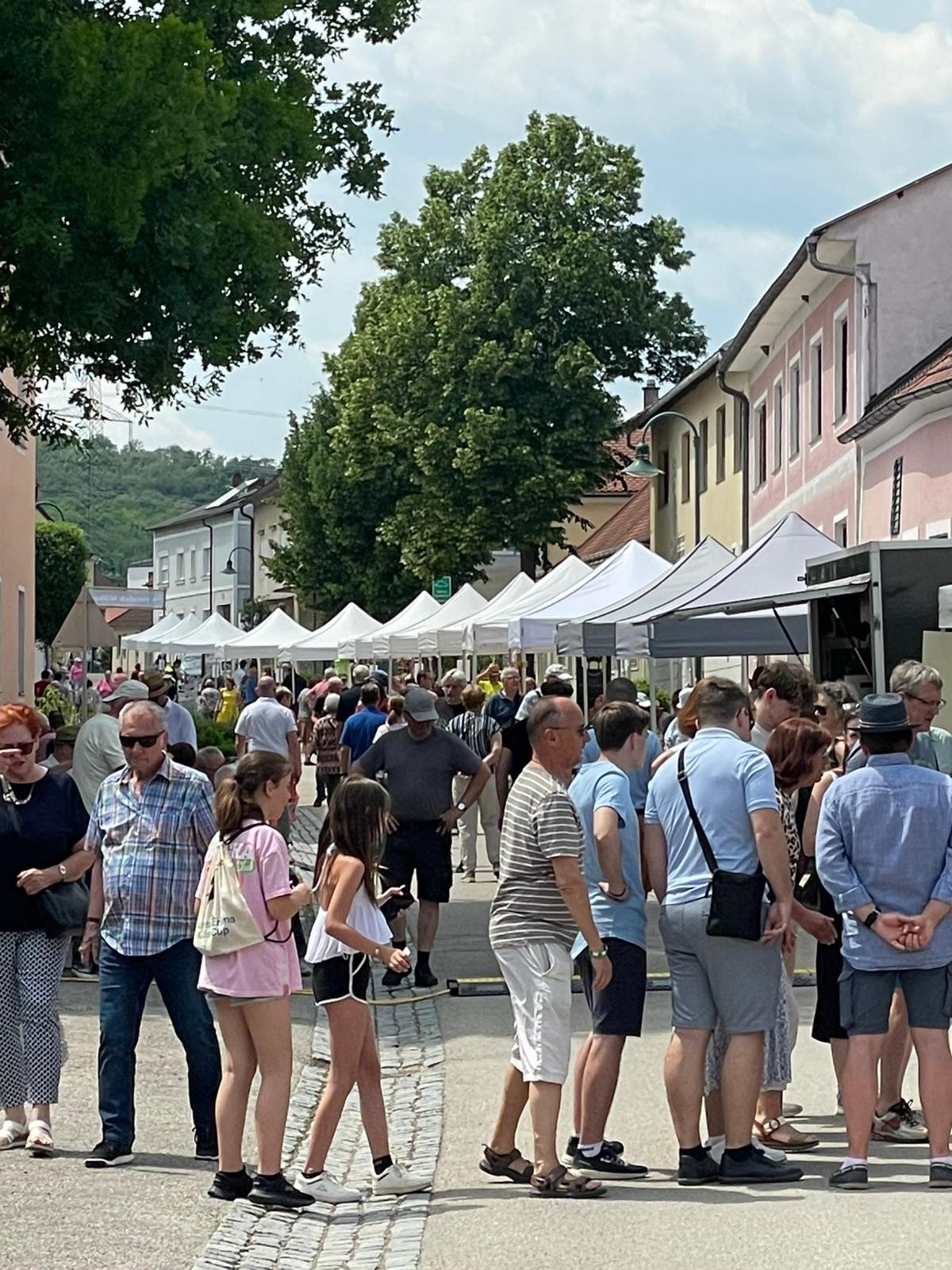 Großer Andrang beim 2. NÖ Nostalgiemarkt in Radlbrunn.